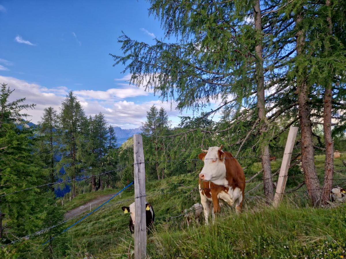 Almgasthaus Glocknerblick Großkirchheim Екстериор снимка